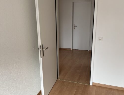 Sanierungszargen